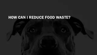 how can i reduce food waste