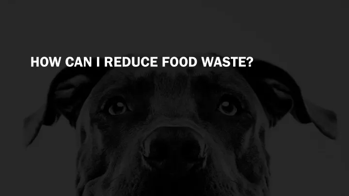 how can i reduce food waste