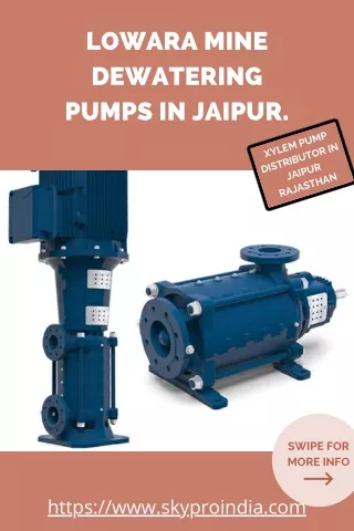 3. Lowara Mine Dewatering Pumps In Jaipur.