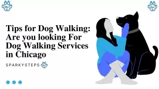 Are You Looking For Dog Walking Service In Chicago?