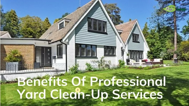 benefits of professional yard clean up services