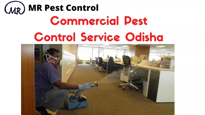 mr pest control