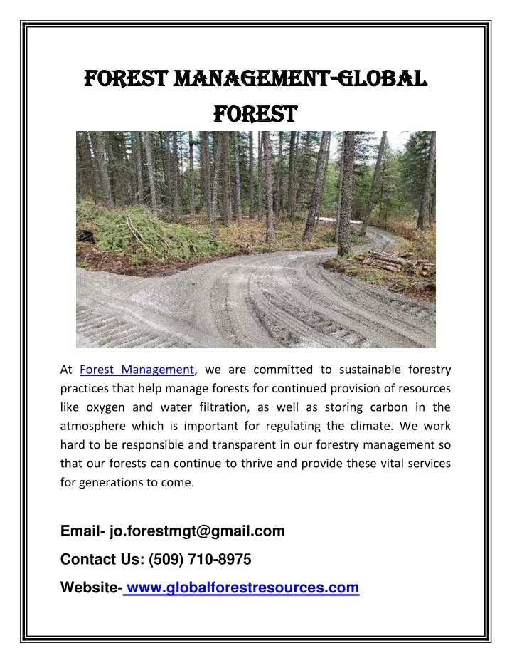 forest forest m management anagement global