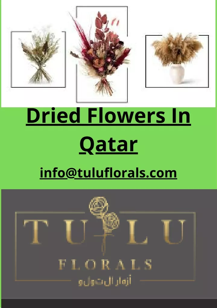 dried flowers in qatar info@tuluflorals com