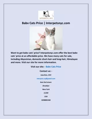 Babv Cats Price | Interpetsnyc.com