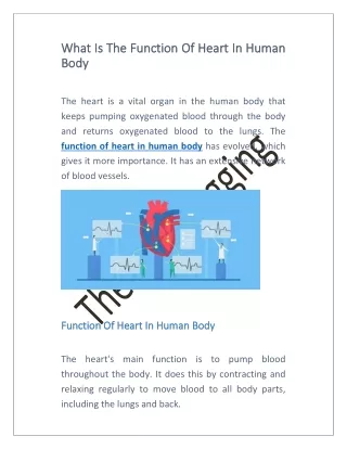 What Is The Function Of Heart In Human Body