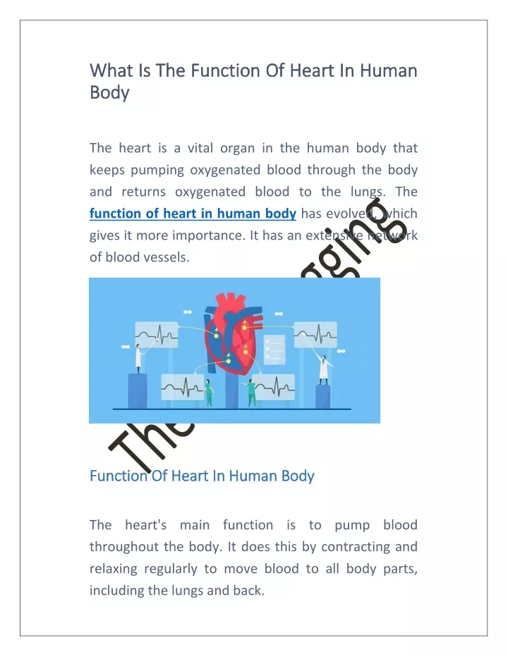 what what is is the body body