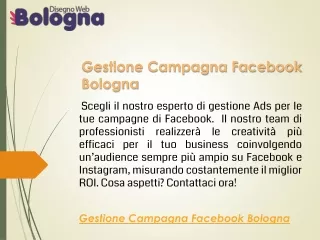 Gestione Campagna Facebook Bologna  Disegnowebologna.it