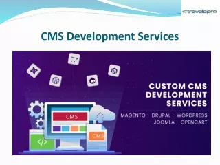 cms development services