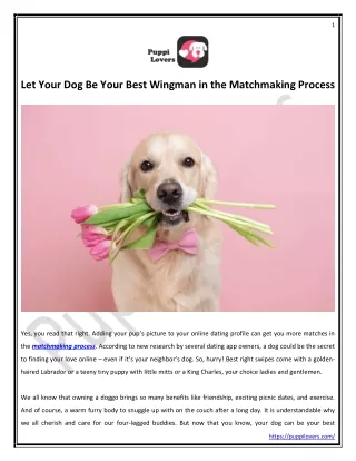 Let Your Dog Be Your Best Wingman in the Matchmaking Process