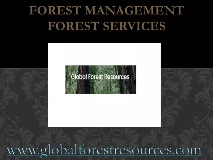 forest management forest services