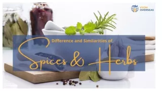 Difference and Similarities Between Spices and Herbs - Vyom Overseas