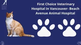 First Choice Veterinary Hospital in Vancouver- Beach Avenue Animal Hospital