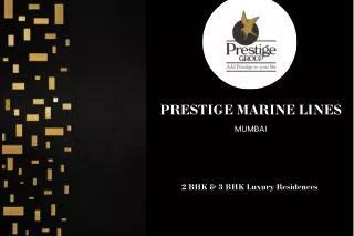 prestige marine lines prestige marine lines mumbai