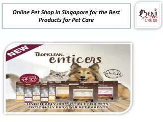 Online Pet Shop in Singapore for the Best Products for Pet Care
