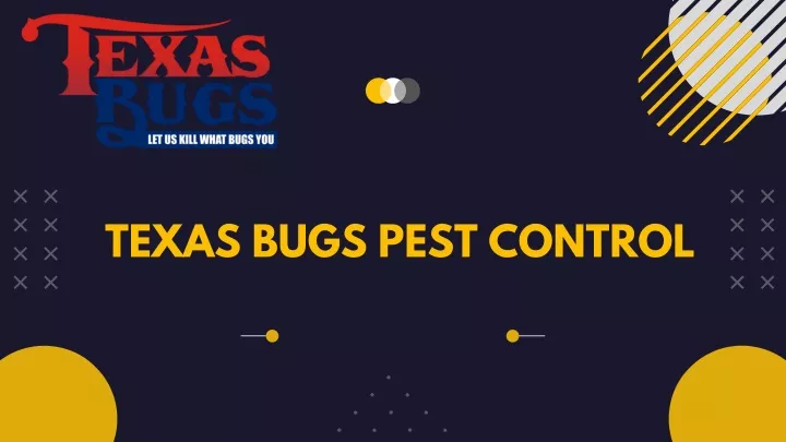 texas bugs pest control
