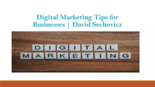 Digital Marketing Tips for Businesses | David Sechovicz