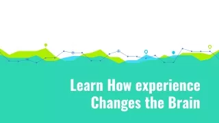Here's how experience can change the Brain - Stroke Rehab