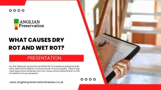 What causes Dry Rot and Wet Rot