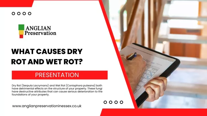 what causes dry rot and wet rot