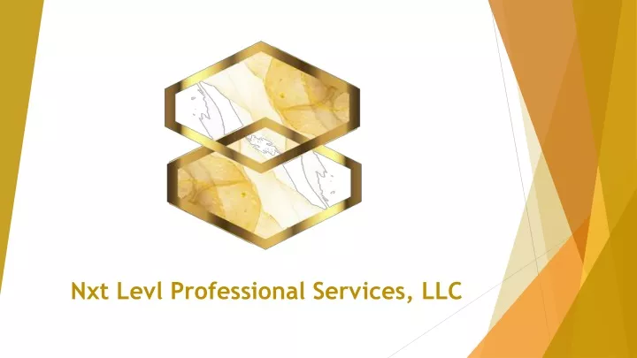 nxt levl professional services llc