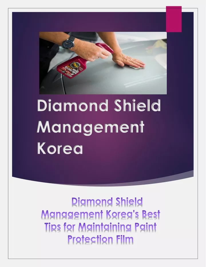 diamond shield management korea