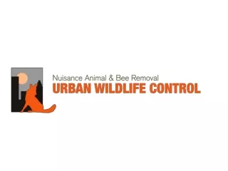 Animal and Bee removal with urban wildlife control