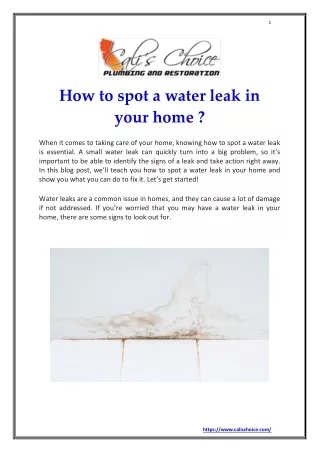 How to spot a water leak in your home