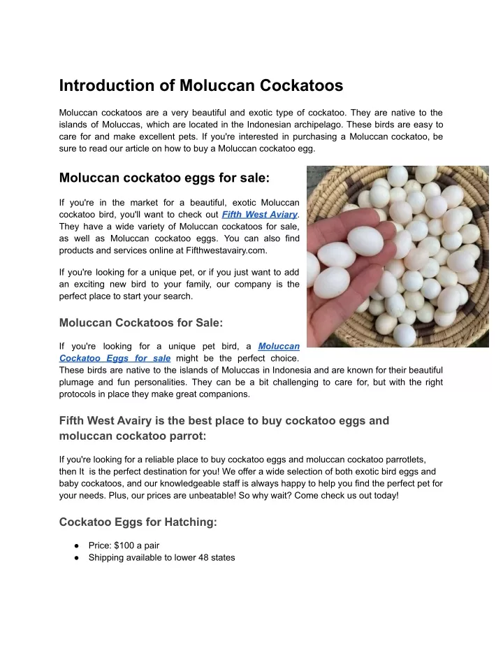 introduction of moluccan cockatoos