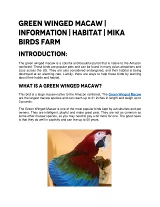 Green Winged Macaw