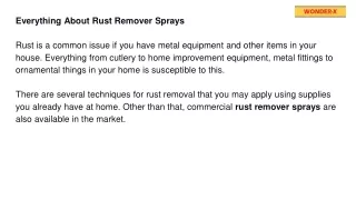 Everything Need to Know About rust remover spray-TrywonderX