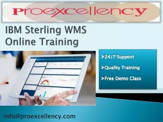 IBM Sterling WMS online training