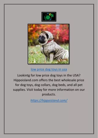 Low Price Dog Toys in Usa | Hippoisland.com