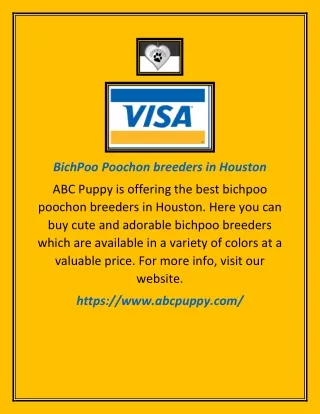 bichpoo poochon breeders in houston