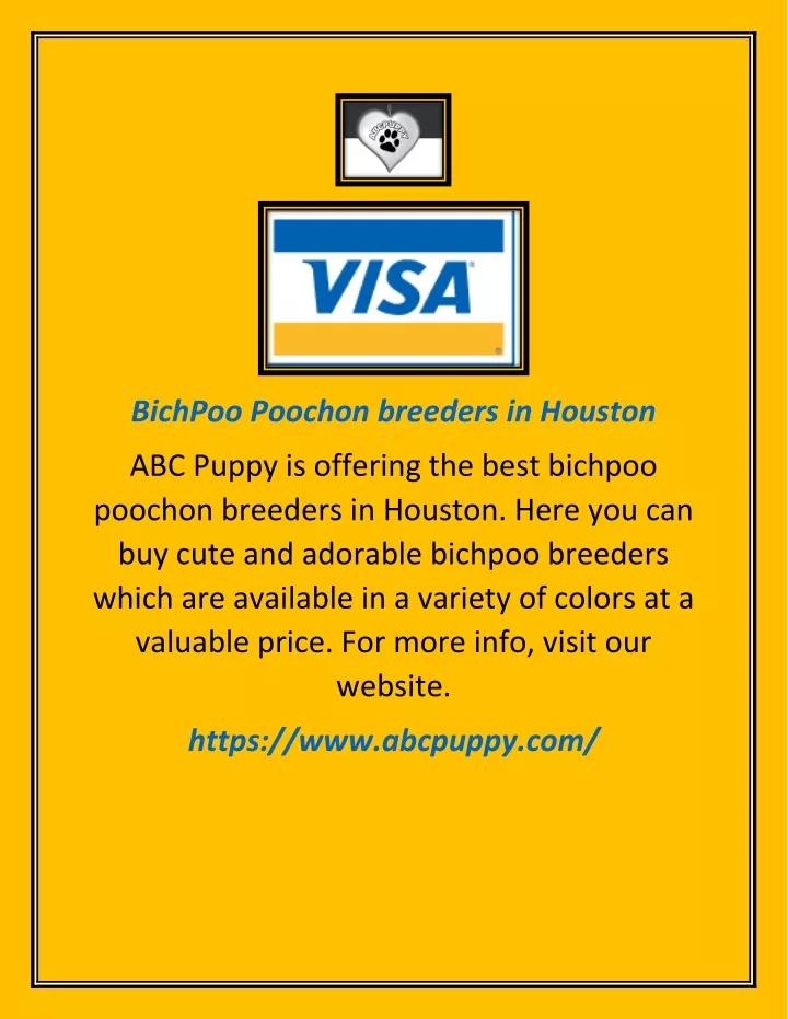 bichpoo poochon breeders in houston