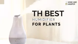 th best