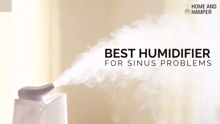 best humidifier