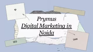 prymus digital marketing in