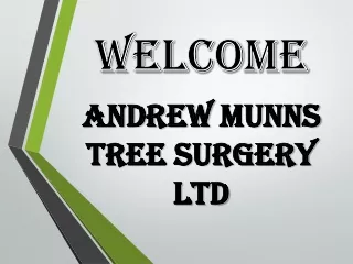 welcome