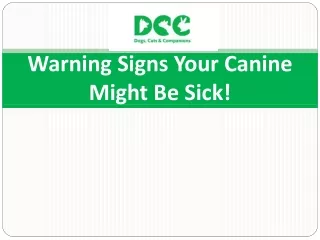 Warning Signs Your Canine Might Be Sick !