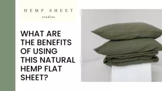 Hemp Flat Sheet