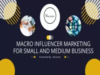 Macro Influencer Marketing for Small and Medium business