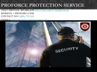 proforce protection service they provide worlds