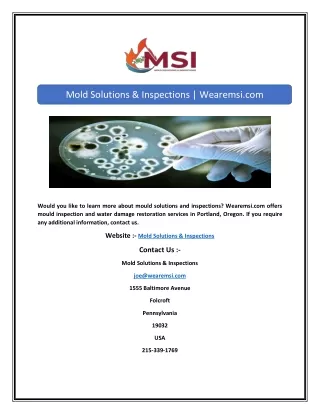 mold solutions inspections wearemsi com