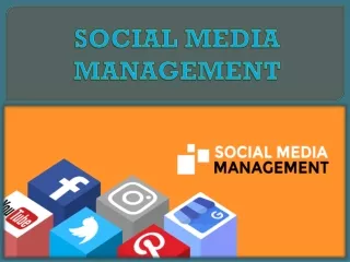 social media management