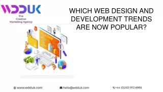 WHICH WEB DESIGN AND DEVELOPMENT TRENDS ARE NOW POPULAR_