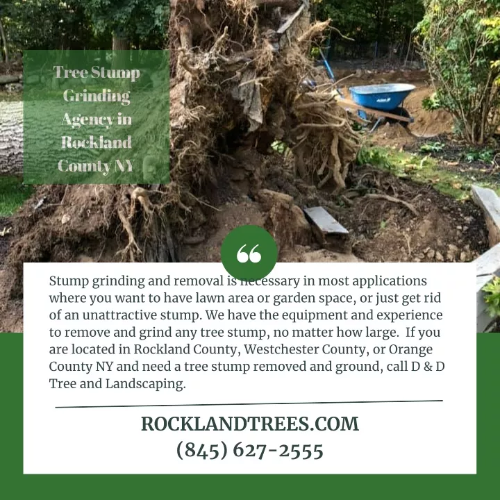 tree stump grinding agency in rockland county ny