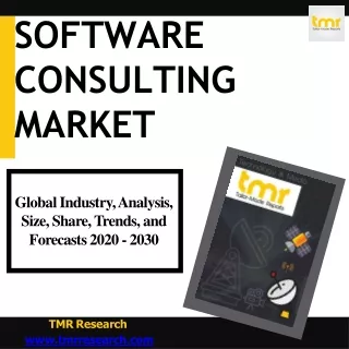 software consulting market