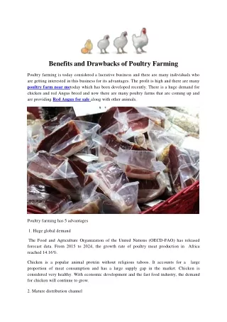benefits and drawbacks of poultry farming poultry