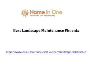 Best Landscape Maintenance Phoenix